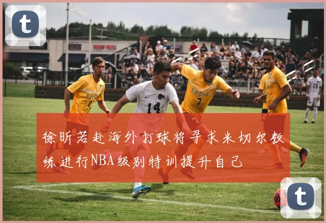 徐昕若赴海外打球将寻求米切尔教练进行NBA级别特训提升自己