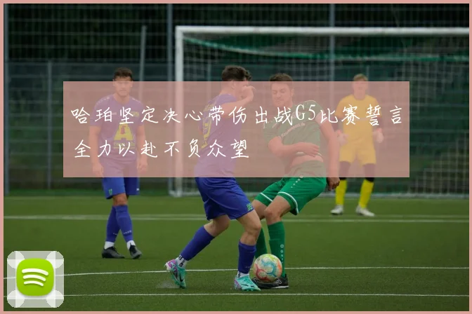 哈珀坚定决心带伤出战G5比赛誓言全力以赴不负众望