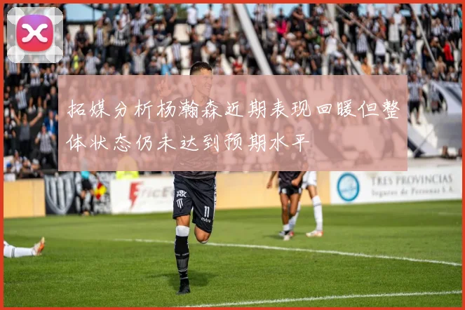 拓媒分析杨瀚森近期表现回暖但整体状态仍未达到预期水平