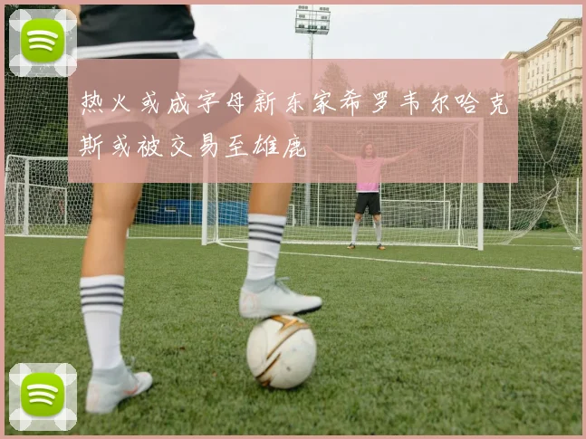 热火或成字母新东家希罗韦尔哈克斯或被交易至雄鹿